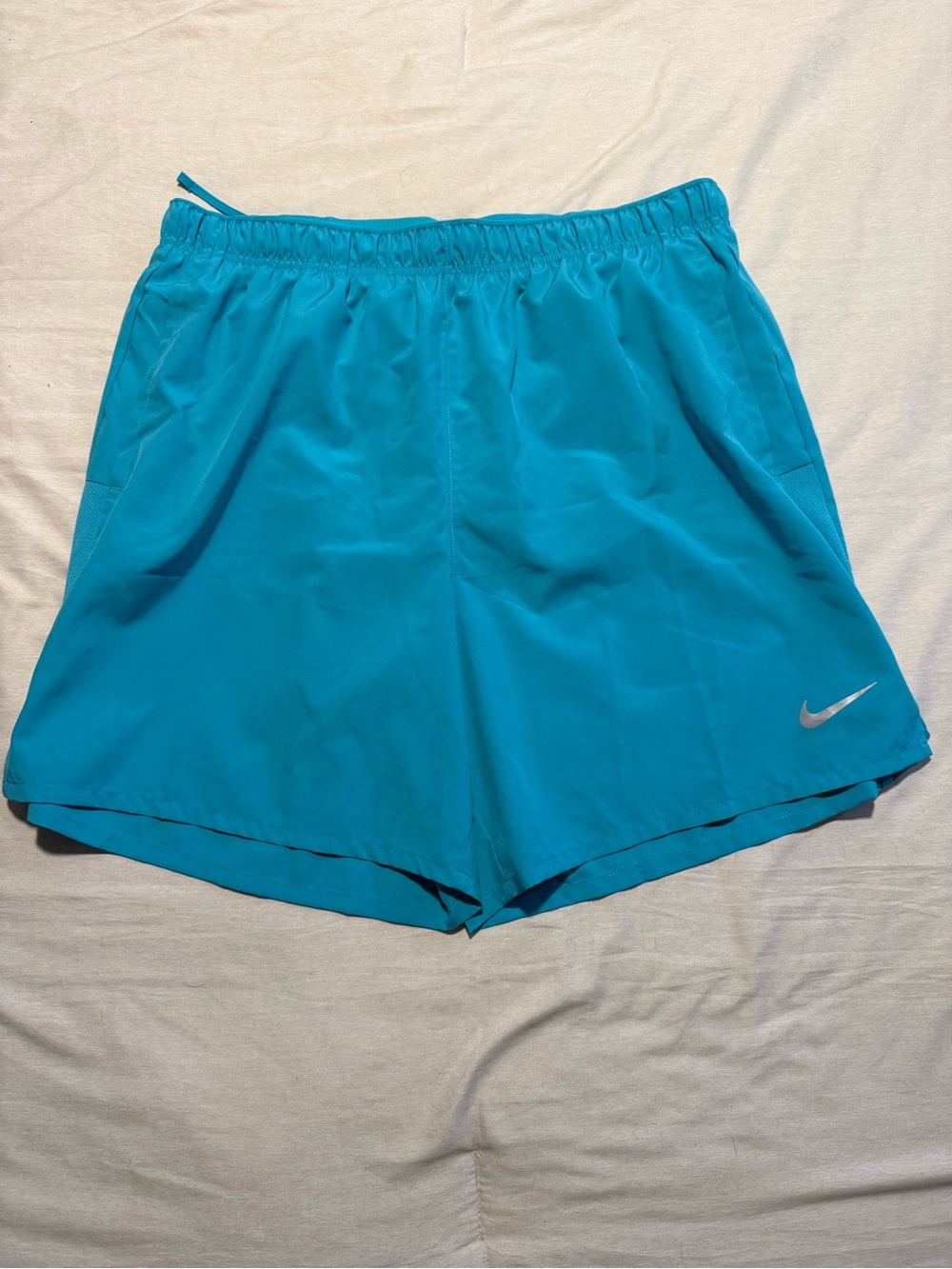Nike Teal/Turquoise Men's Athletic Shorts